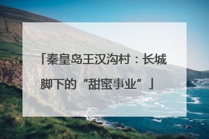 秦皇岛王汉沟村：长城脚下的“甜蜜事业”