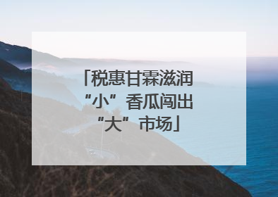 税惠甘霖滋润“小”香瓜闯出“大”市场
