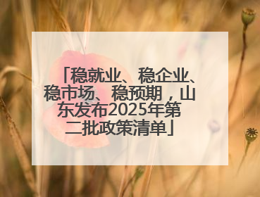 稳就业、稳企业、稳市场、稳预期，山东发布2025年第二批政策清单
