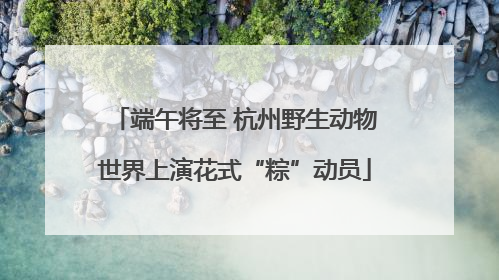 端午将至 杭州野生动物世界上演花式“粽”动员