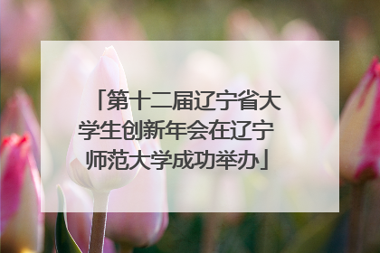第十二届辽宁省大学生创新年会在辽宁师范大学成功举办