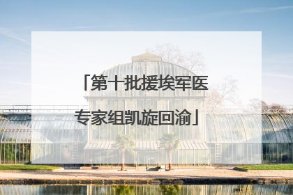 第十批援埃军医专家组凯旋回渝