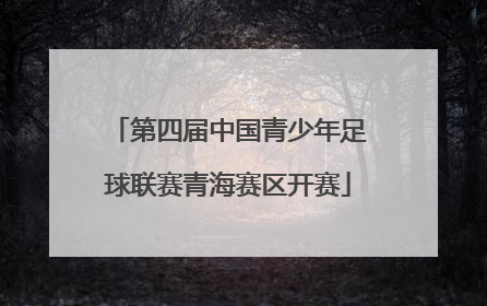 第四届中国青少年足球联赛青海赛区开赛