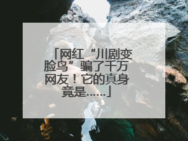 网红“川剧变脸鸟”骗了千万网友！它的真身竟是……