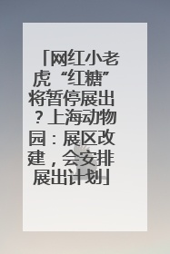 网红小老虎“红糖”将暂停展出？上海动物园：展区改建，会安排展出计划
