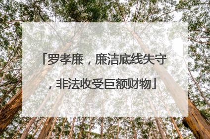 罗孝廉，廉洁底线失守，非法收受巨额财物