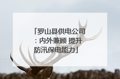罗山县供电公司：内外兼顾 提升防汛保电能力
