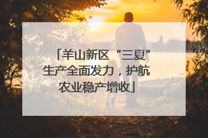 羊山新区“三夏”生产全面发力，护航农业稳产增收