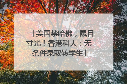 美国禁哈佛，鼠目寸光！香港科大：无条件录取转学生