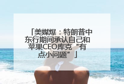 美媒爆：特朗普中东行期间承认自己和苹果CEO库克“有点小问题”