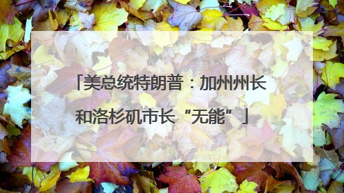 美总统特朗普：加州州长和洛杉矶市长“无能”