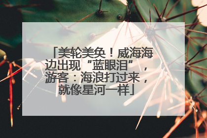 美轮美奂！威海海边出现“蓝眼泪”，游客：海浪打过来，就像星河一样