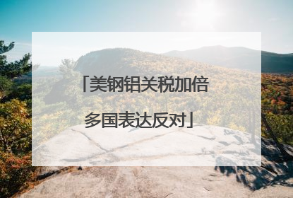 美钢铝关税加倍 多国表达反对