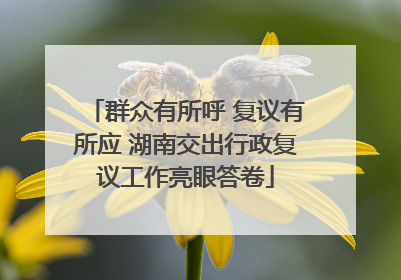 群众有所呼 复议有所应 湖南交出行政复议工作亮眼答卷