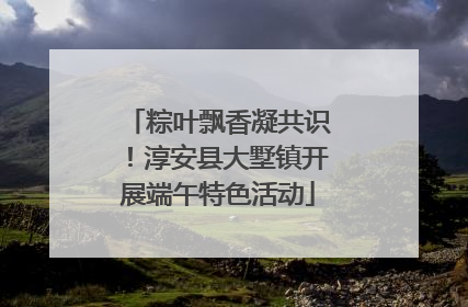 粽叶飘香凝共识！淳安县大墅镇开展端午特色活动