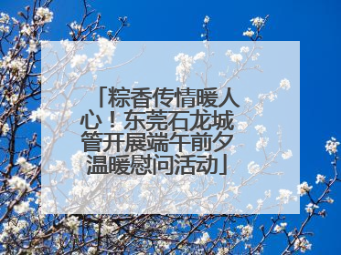 粽香传情暖人心！东莞石龙城管开展端午前夕温暖慰问活动
