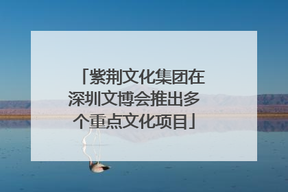 紫荆文化集团在深圳文博会推出多个重点文化项目