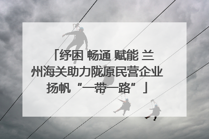 纾困 畅通 赋能 兰州海关助力陇原民营企业扬帆“一带一路”