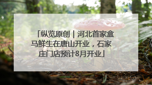 纵览原创｜河北首家盒马鲜生在唐山开业，石家庄门店预计8月开业