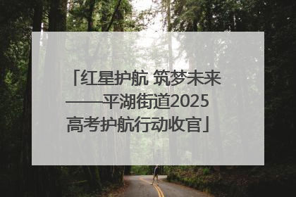 红星护航 筑梦未来——平湖街道2025高考护航行动收官