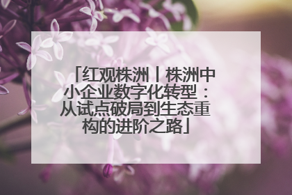 红观株洲丨株洲中小企业数字化转型：从试点破局到生态重构的进阶之路