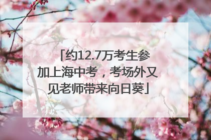 约12.7万考生参加上海中考，考场外又见老师带来向日葵