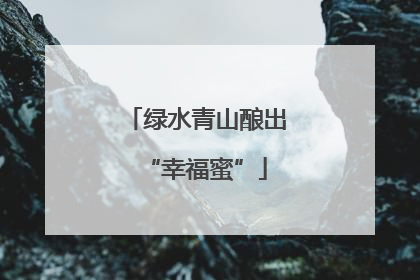 绿水青山酿出“幸福蜜”