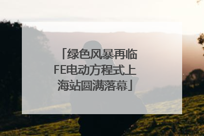 绿色风暴再临 FE电动方程式上海站圆满落幕