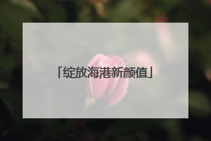 绽放海港新颜值