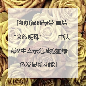 细织湿地绿带 厚结“文旅明珠”——中法武汉生态示范城挖掘绿色发展新动能