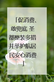 促消费、敢兜底 圣都整装多措并举护航居民安心消费