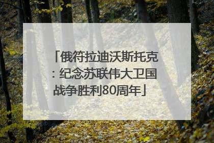 俄符拉迪沃斯托克：纪念苏联伟大卫国战争胜利80周年