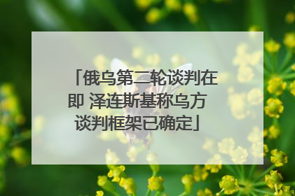 俄乌第二轮谈判在即 泽连斯基称乌方谈判框架已确定