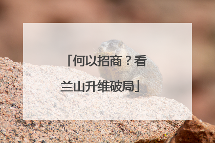 何以招商？看兰山升维破局