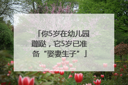 你5岁在幼儿园蹦跶，它5岁已准备“娶妻生子”