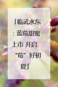 临武水东：蓝莓甜蜜上市 开启“莓”好初夏