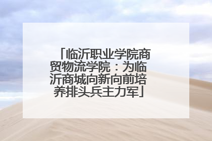 临沂职业学院商贸物流学院：为临沂商城向新向前培养排头兵主力军