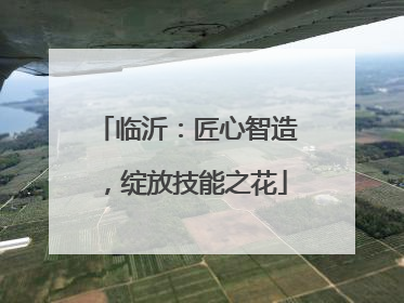 临沂：匠心智造，绽放技能之花
