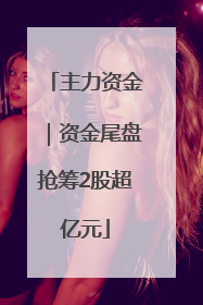 主力资金｜资金尾盘抢筹2股超亿元