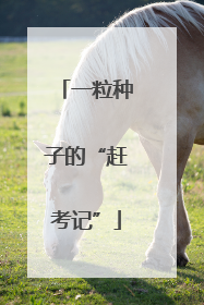 一粒种子的“赶考记”