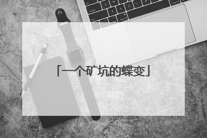 一个矿坑的蝶变