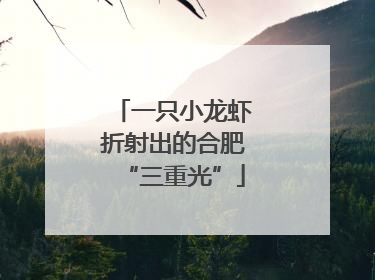 一只小龙虾折射出的合肥“三重光”