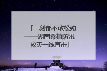 一刻都不敢松劲——湖南桑植防汛救灾一线直击