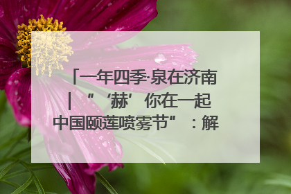 一年四季·泉在济南｜“‘赫’你在一起 中国颐莲喷雾节”：解锁济南夏日消费热潮中的国货新势力
