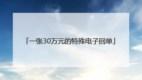 一张30万元的特殊电子回单