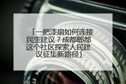 一把漆扇如何连接民生建议？成都郫都这个社区探索人民建议征集新路径