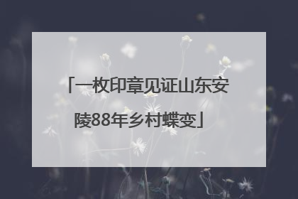 一枚印章见证山东安陵88年乡村蝶变
