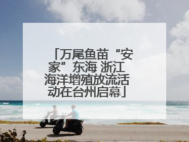 万尾鱼苗“安家”东海 浙江海洋增殖放流活动在台州启幕