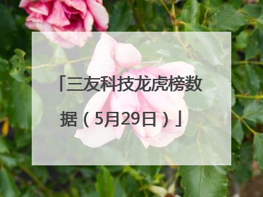 三友科技龙虎榜数据（5月29日）