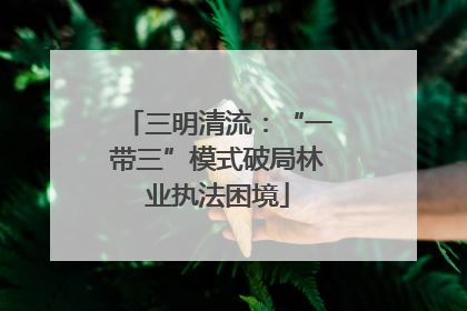 三明清流：“一带三”模式破局林业执法困境